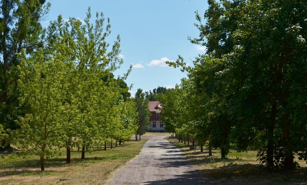 Gospodarstwo Nad Jeziorem Zalom  Exterior photo